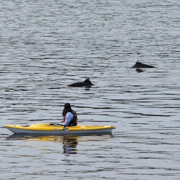 welcome to my closet✌ - Picture 5 of 6